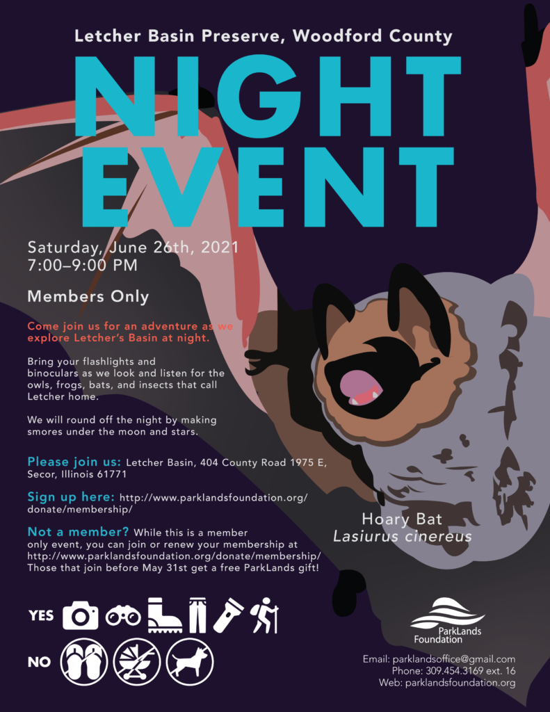Night Event Flyer