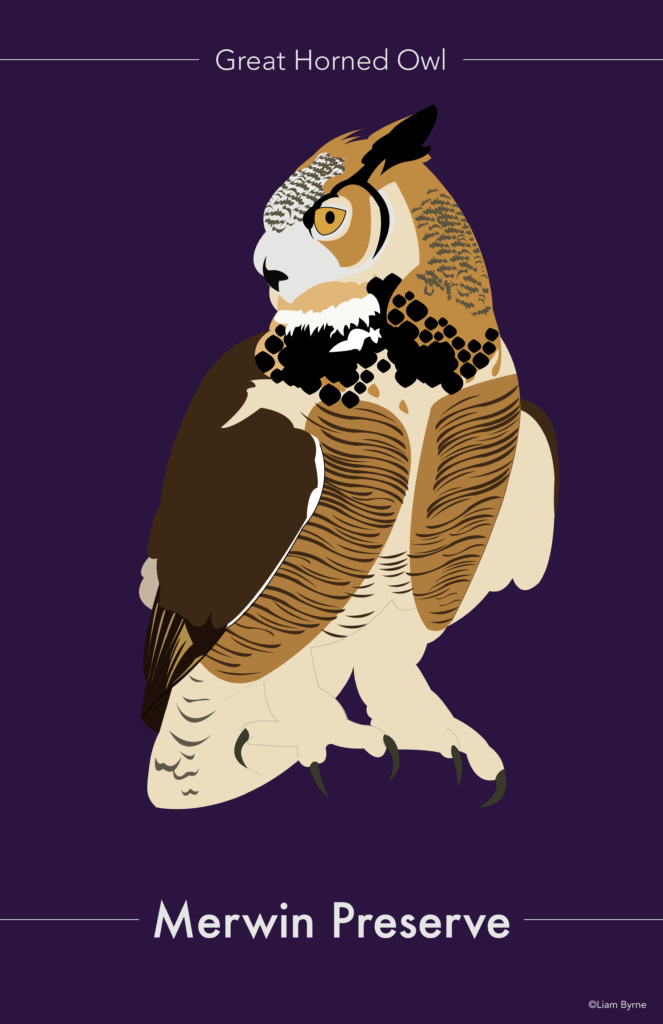 Great Horned Owl Poster